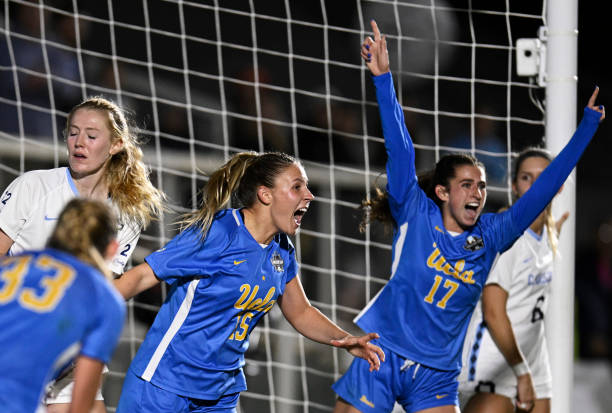 引入这样一 引入这样一